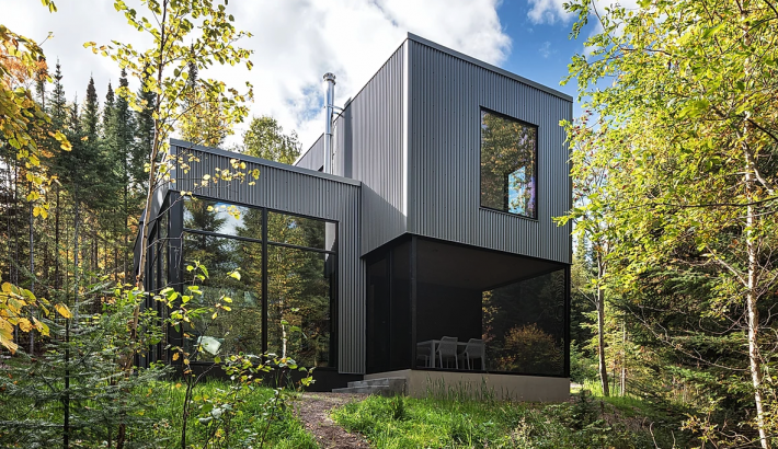 Modern Cabin with Floor-to-Ceiling Windows Floats in the Trees